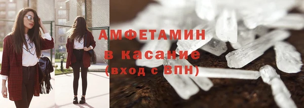 прущие грибы Балабаново